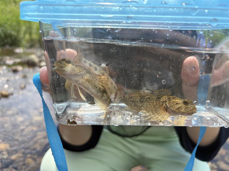 人, 船舶, ガラス, 水 が含まれている画像 AI 生成コンテンツは誤りを含む可能性があります。
